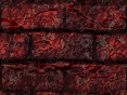 xm008538.gif