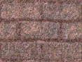 xm008537.gif