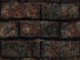 xm008532.gif
