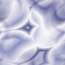 xm008516.gif