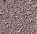 xm008503.gif