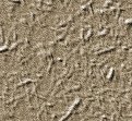 xm008502.gif
