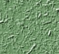 xm008501.gif