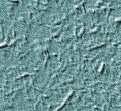 xm008500.gif