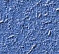 xm008496.gif