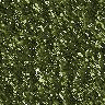 xm008458.gif