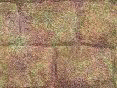 xm008436.gif
