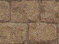 xm008435.gif