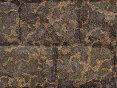 xm008434.gif