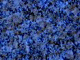 xm008432.gif