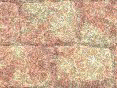 xm008431.gif