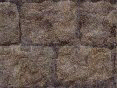xm008430.gif