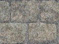 xm008429.gif