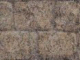 xm008428.gif