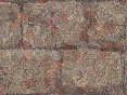 xm008427.gif