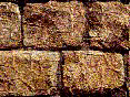 xm008424.gif