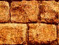 xm008423.gif