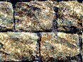 xm008422.gif