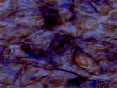 xm008421.gif