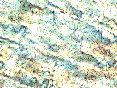 xm008414.gif