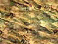 xm008413.gif