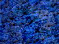 xm008412.gif