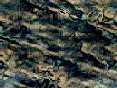xm008406.gif