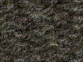 xm008401.gif
