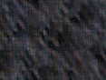 xm008399.gif