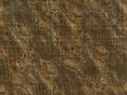 xm008398.gif