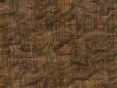 xm008397.gif