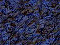 xm008395.gif