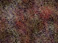 xm008394.gif