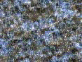 xm008392.gif
