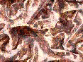 xm008389.gif