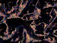 xm008388.gif