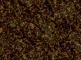 xm008387.gif