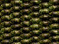 xm008384.gif