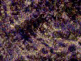 xm008383.gif