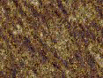 xm008380.gif
