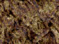 xm008379.gif