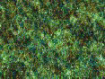xm008378.gif