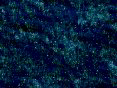 xm008377.gif
