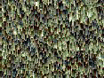 xm008376.gif