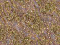 xm008375.gif