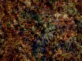 xm008374.gif