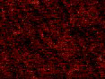 xm008373.gif