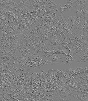 xm008346.gif