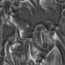 xm009221.gif