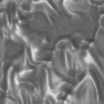 xm009211.gif